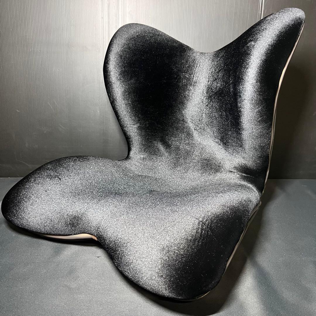 Style premium DX スタイル プレミアム デラックス ブラック