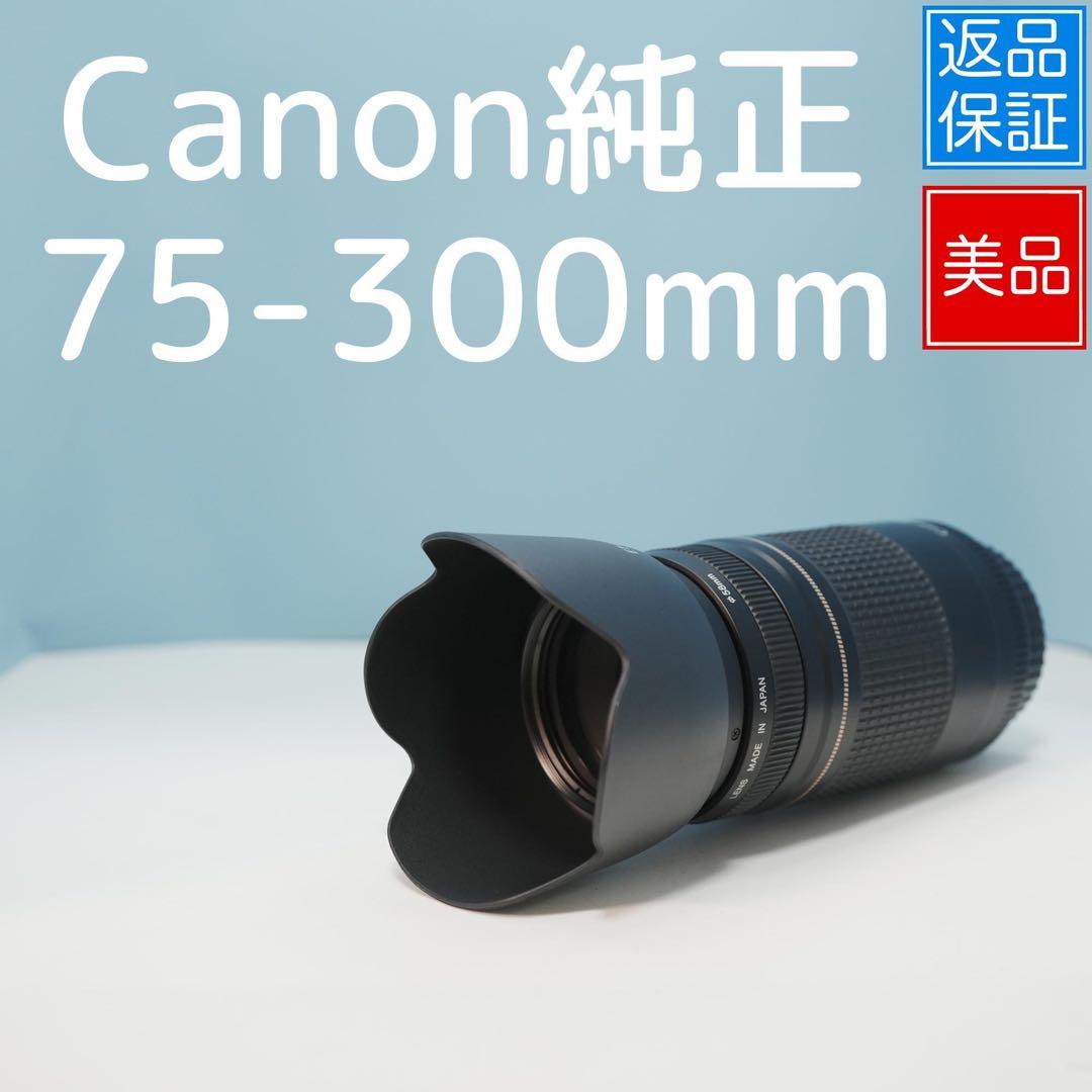 Canon純正 75-300mm 望遠レンズ 美品 a4548