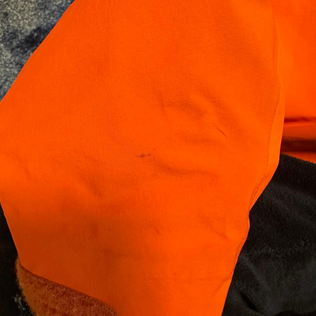 ARC'TERYX beta AR 希少カラー