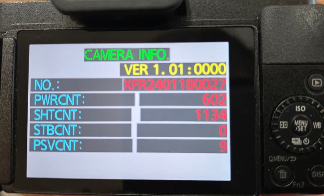 Panasonic LUMIX G100D ボディのみ（シャッター回数1134）