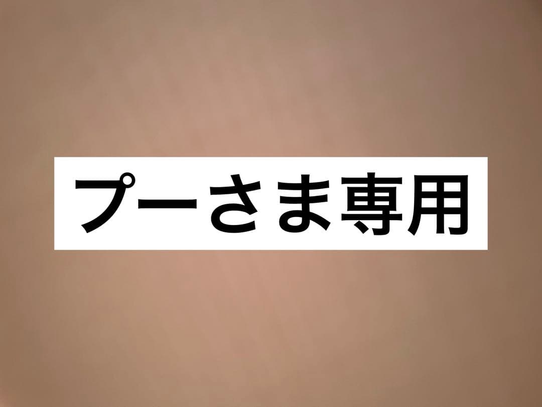 プーさま専用カメラセット