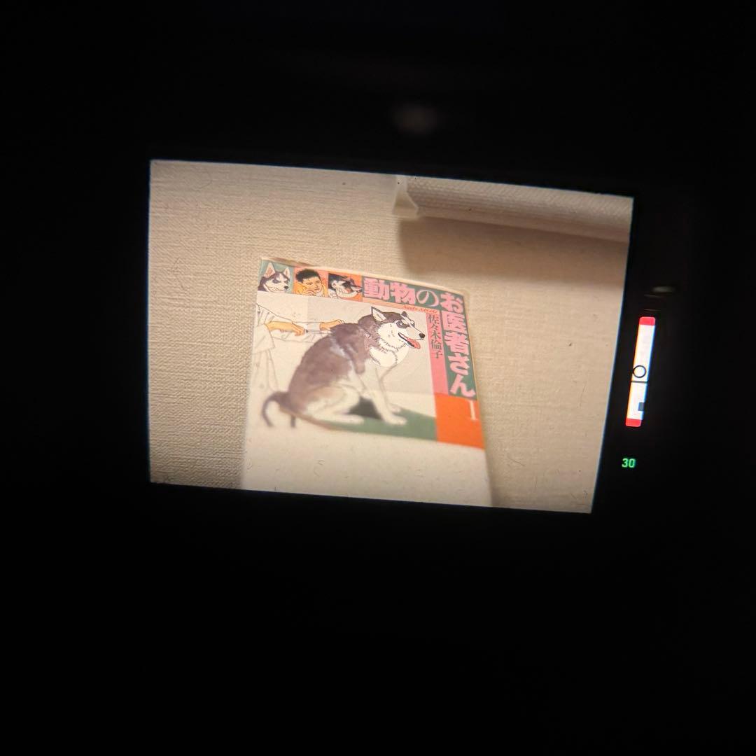 【整備済】Canon 旧F-1 前期 ボディ ブラック　※作例掲載