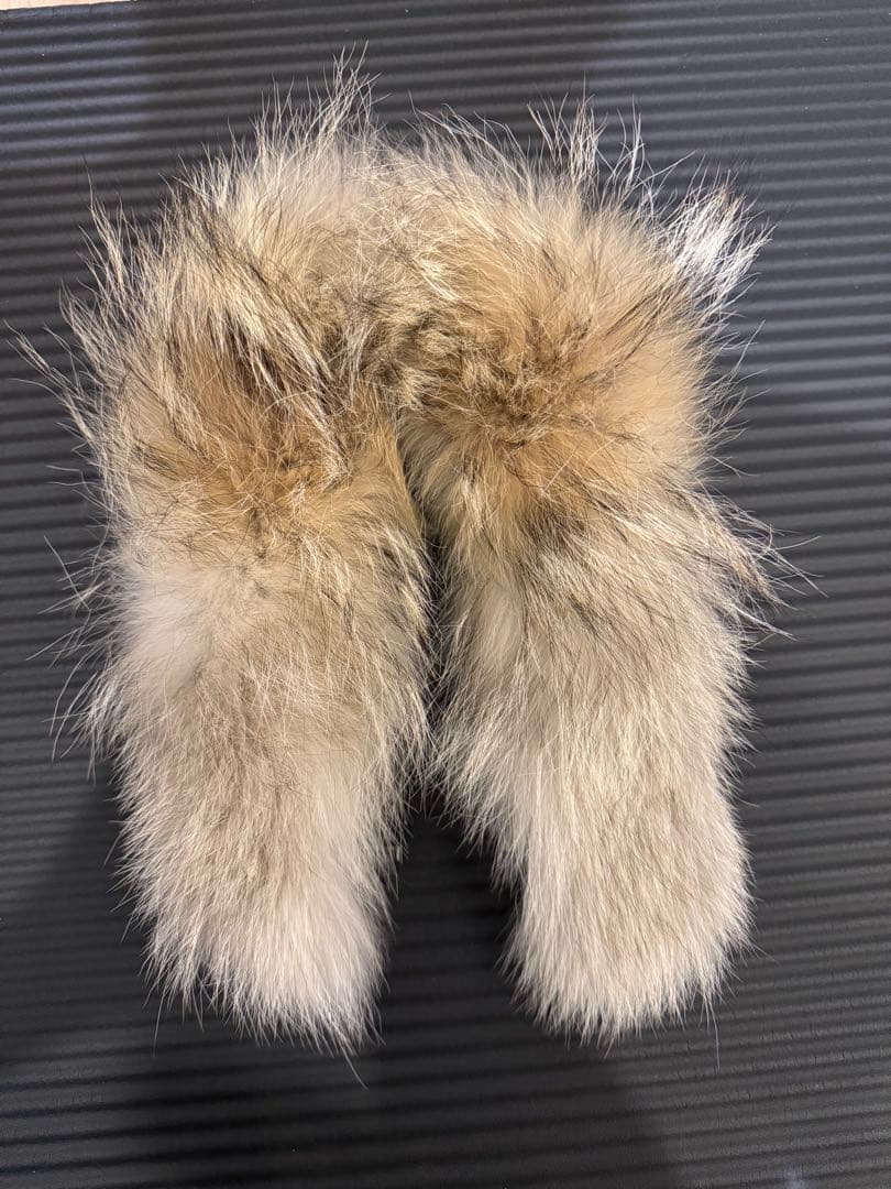 カナダグース　コヨーテファー