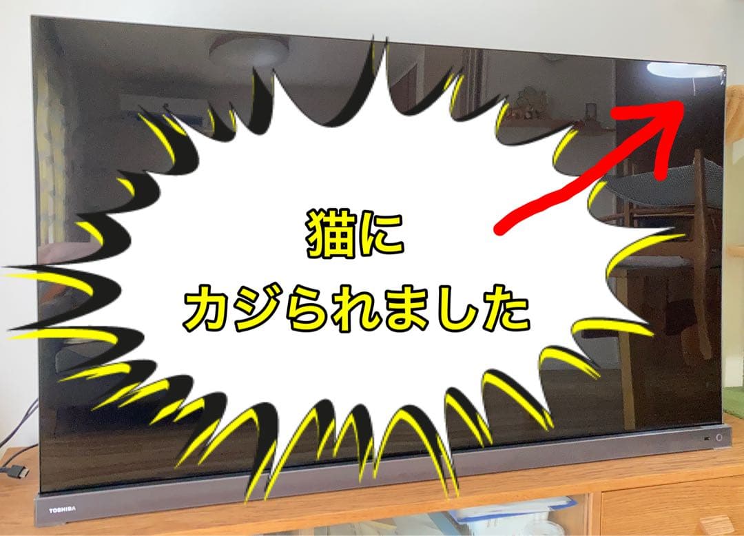 【最終値下げ】TOSHIBA REGZA 有機ELテレビ 55型 ジャンク品