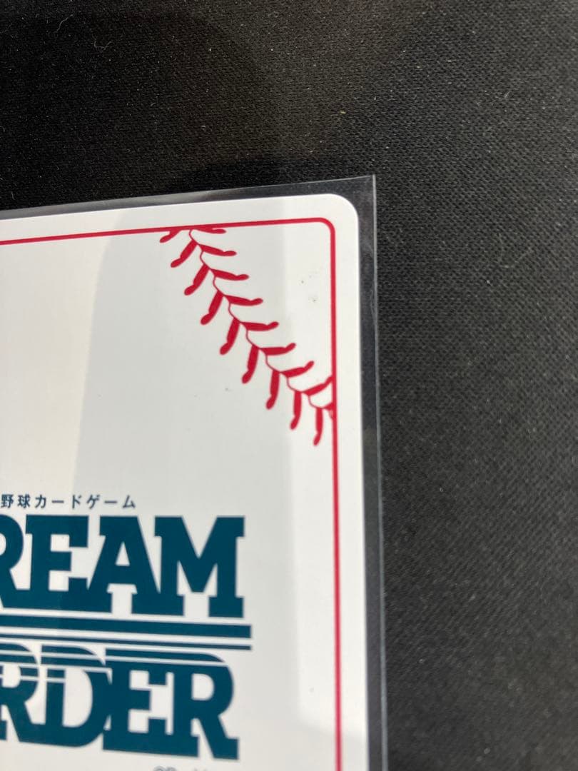 ドリームオーダー　宮城　SSPP