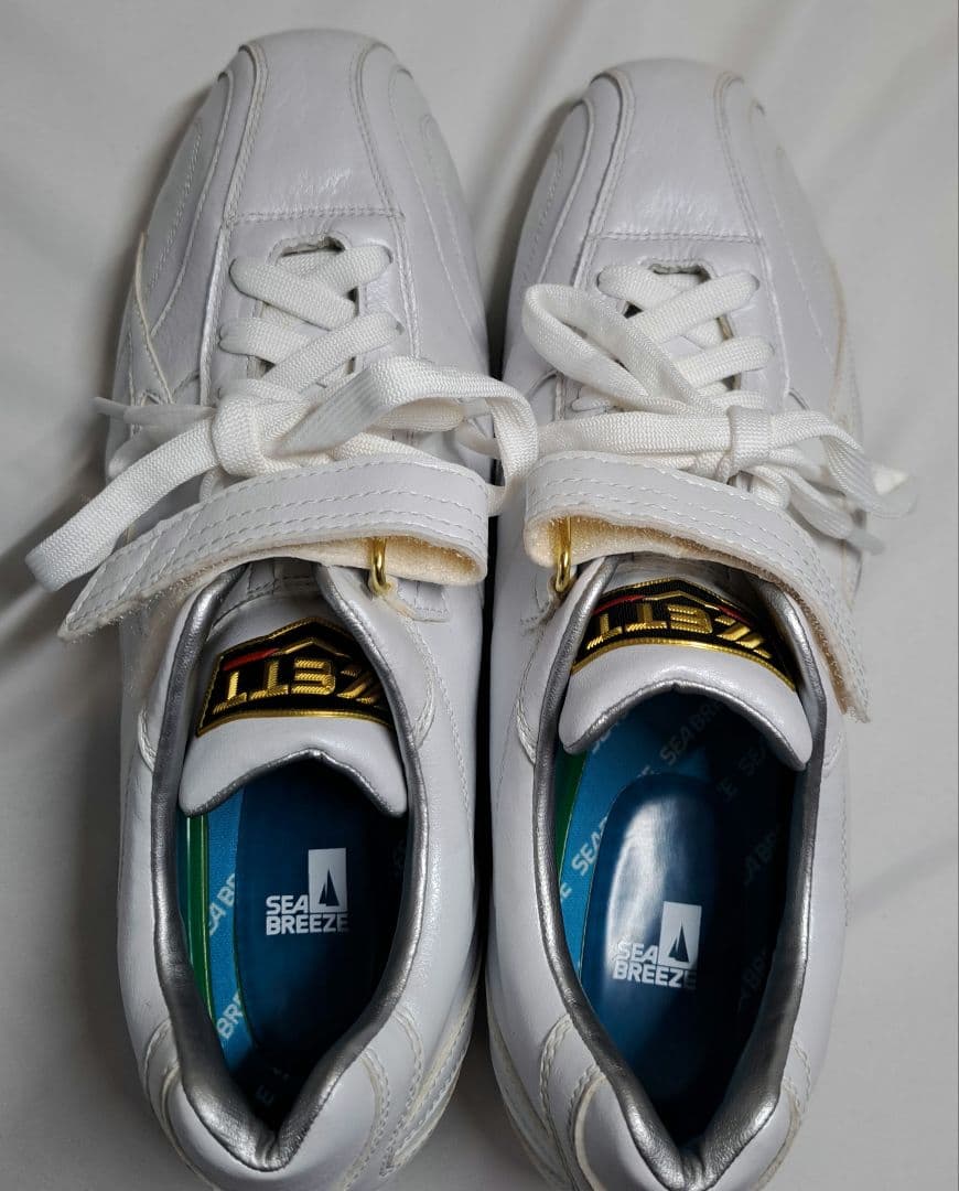 ZETT 野球 金歯スパイク メンズ 埋込み スパイク プロステイタス 26cm