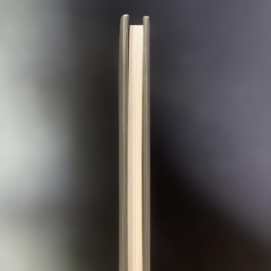 ティランジア・ハンドブック 改訂版 清水秀男 滝沢弘之 カバー付