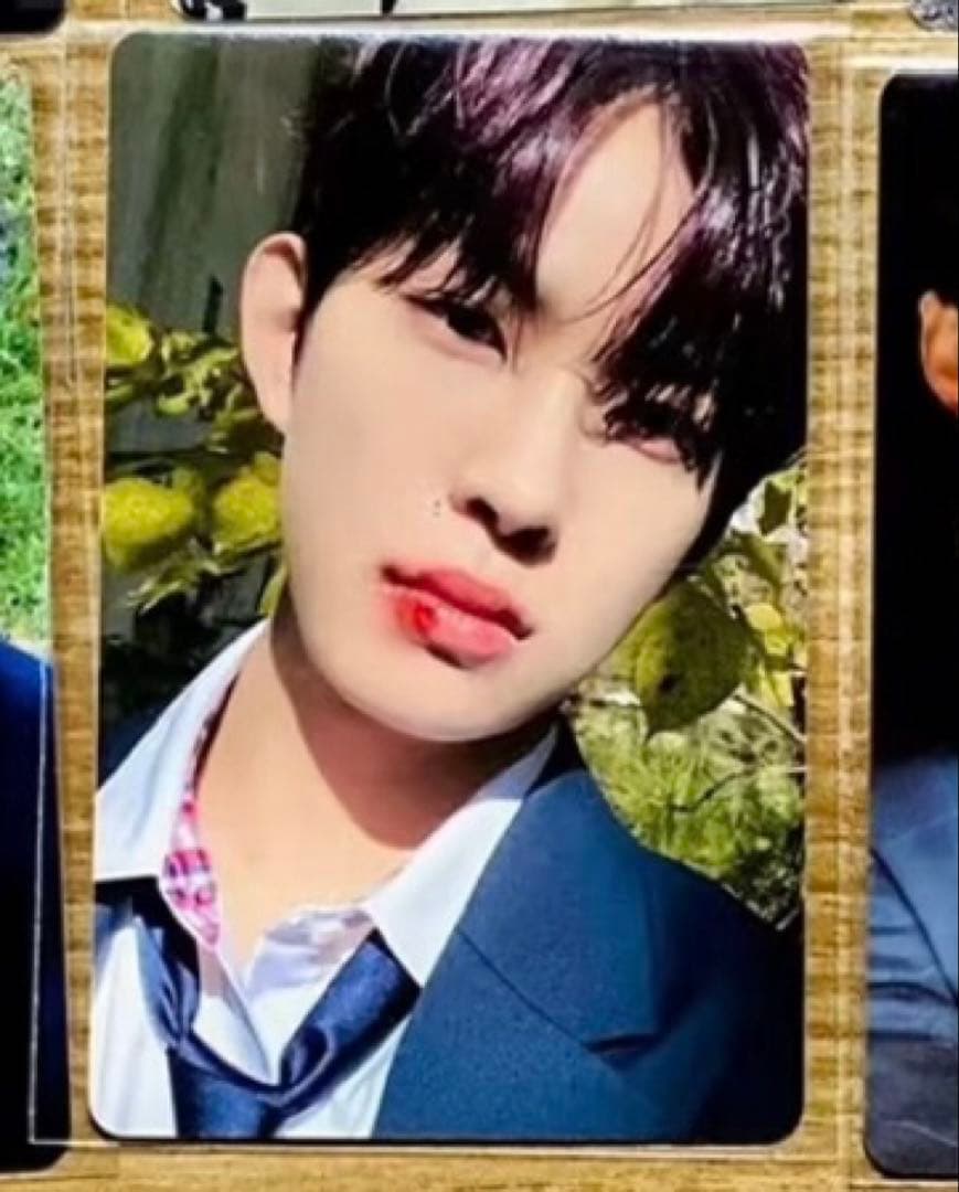 ALD1 ゴヌ EUPHORIA pluschat 限定 トレカ B