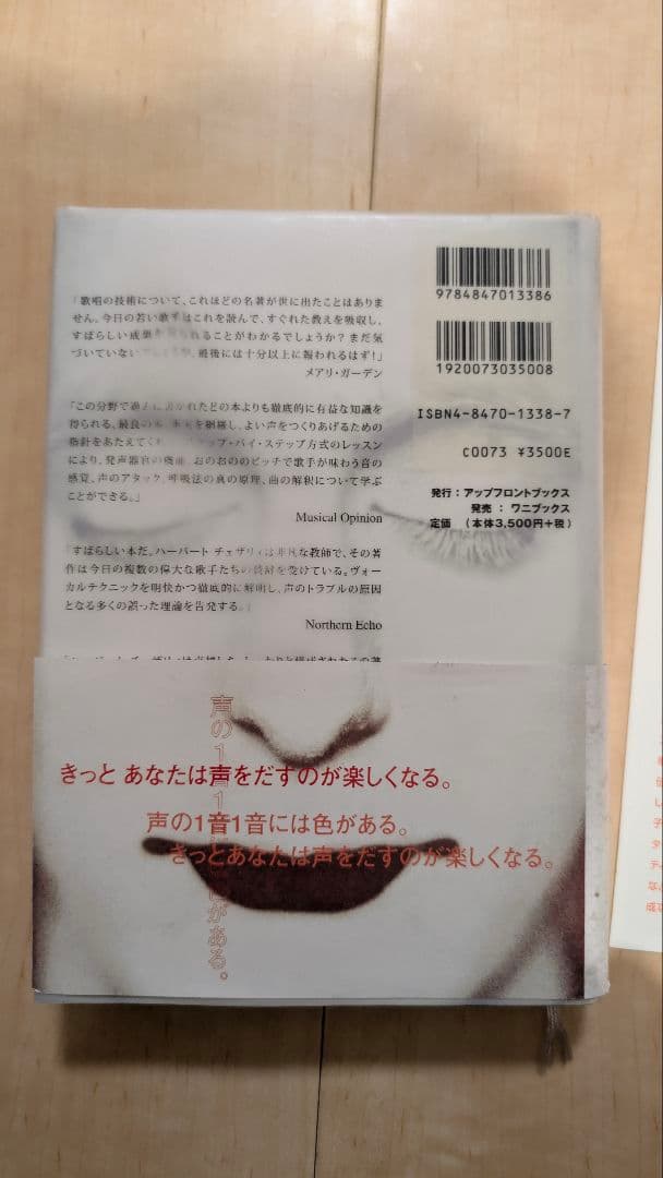 ザヴォイスオブザマインド　チェザリー　the voice of the mind