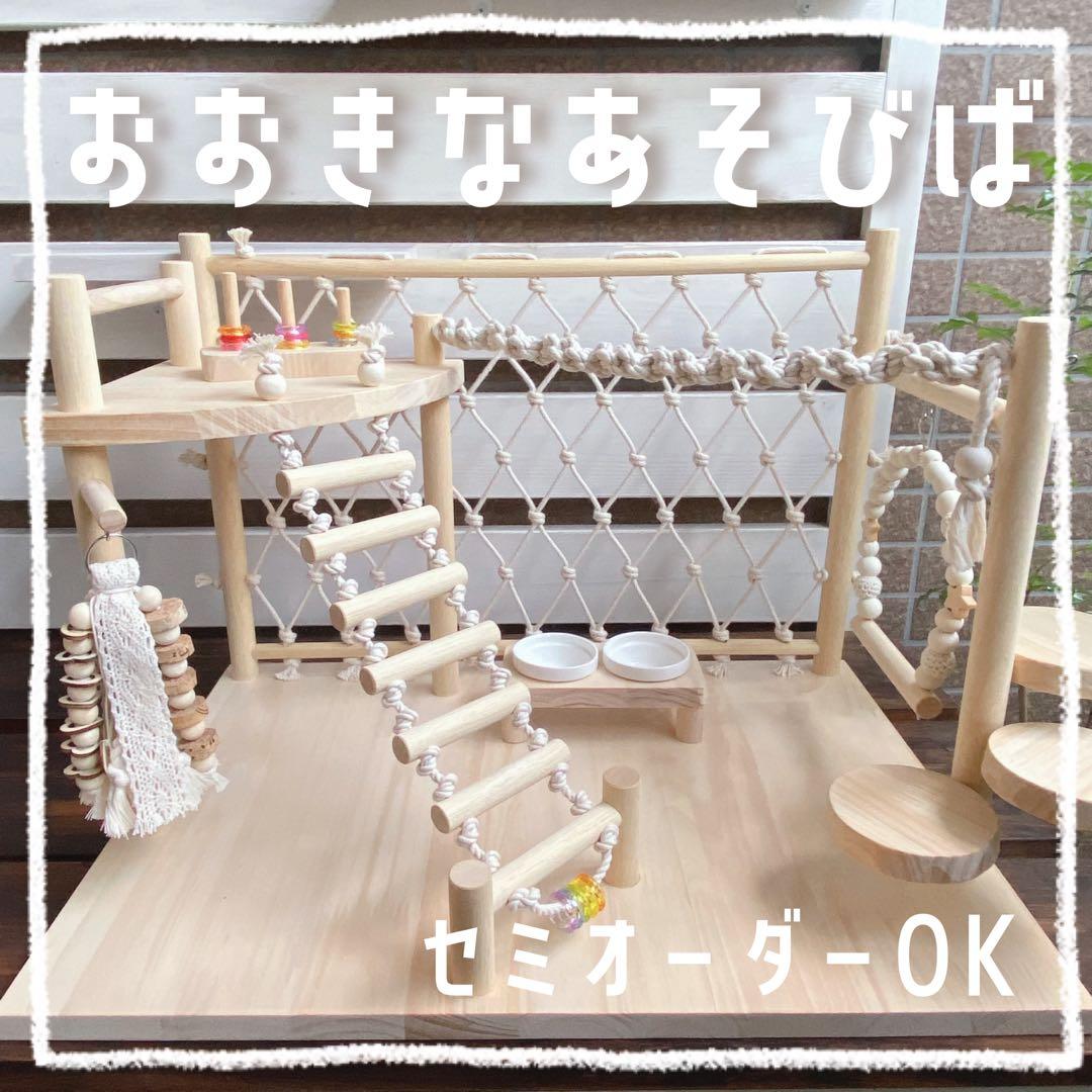 ことりのおおきなあそびば　インコ　バードジム　バードアスレチック　ブランコ