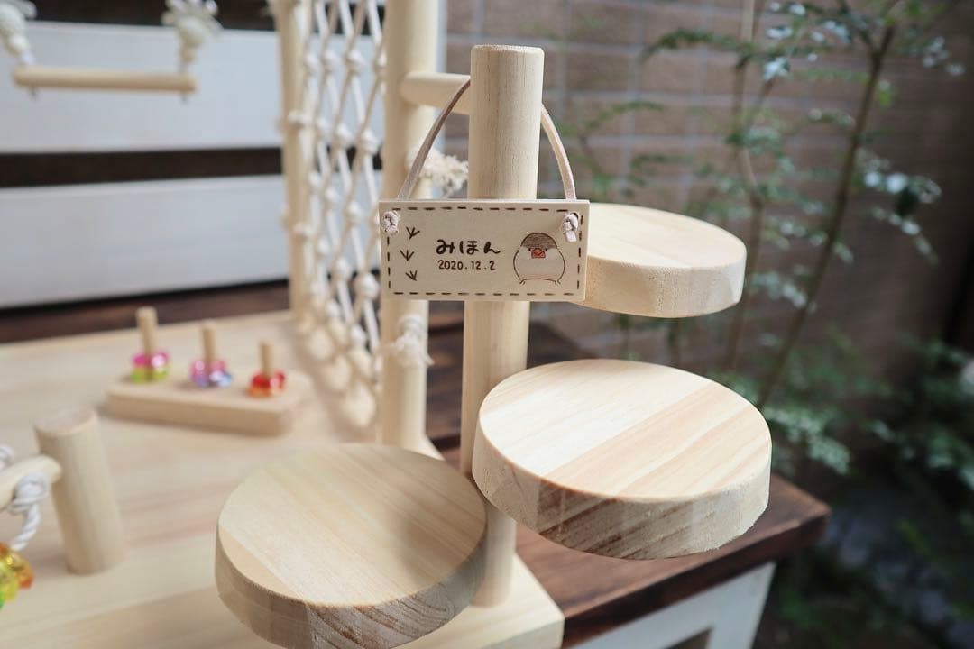 ことりのおおきなあそびば　インコ　バードジム　バードアスレチック　ブランコ