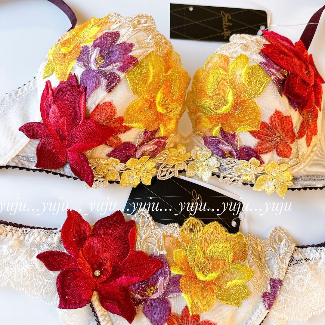 ワコール/サルート 30G 新品タグ付 P-upブラソングC65