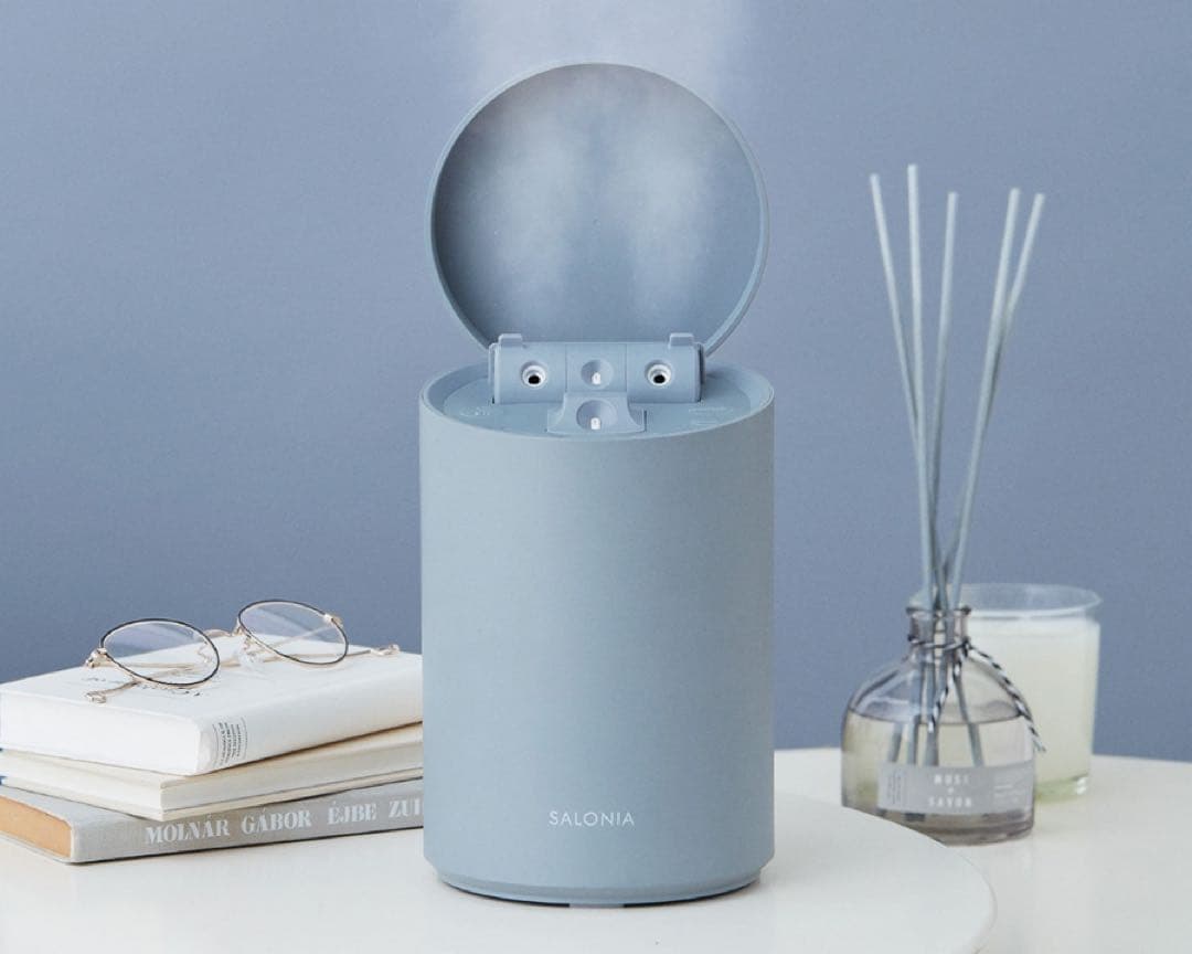 SALONIA フェイススチーマー ブルー