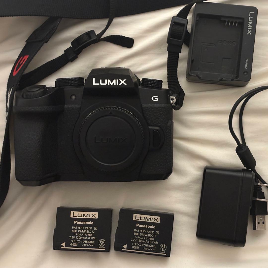 即日発送！美品　LUMIX G99 ミラーレスカメラ