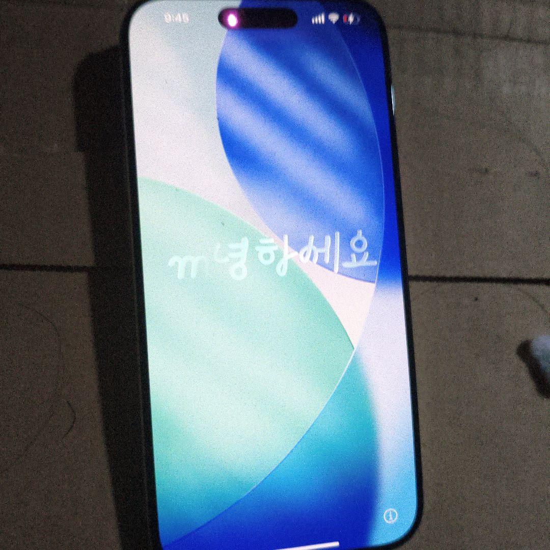 【ジャンク品】iPhone 15pro