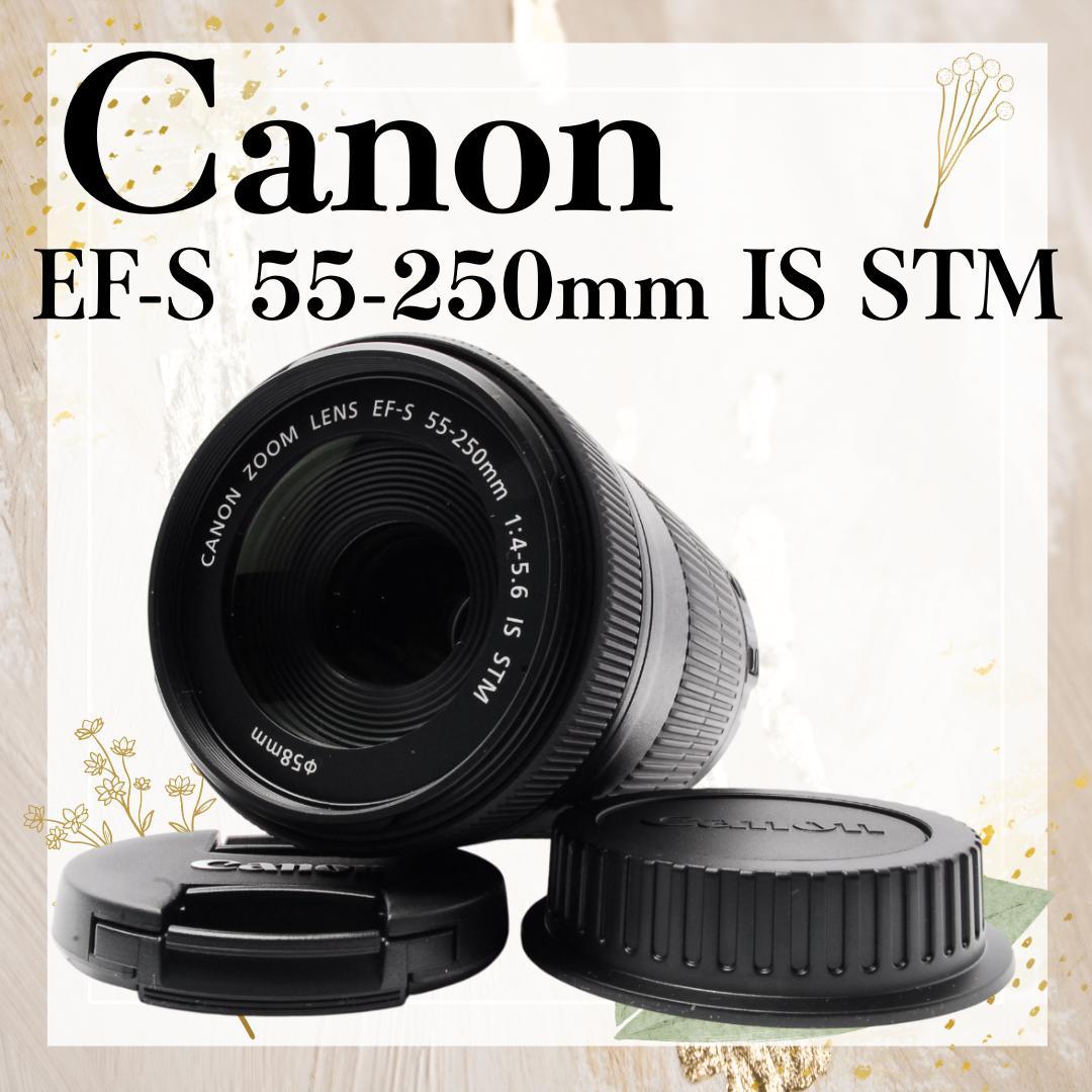 美品 手ぶれ補正 キャノン EF-S 55-250mm IS STM 望遠レンズ