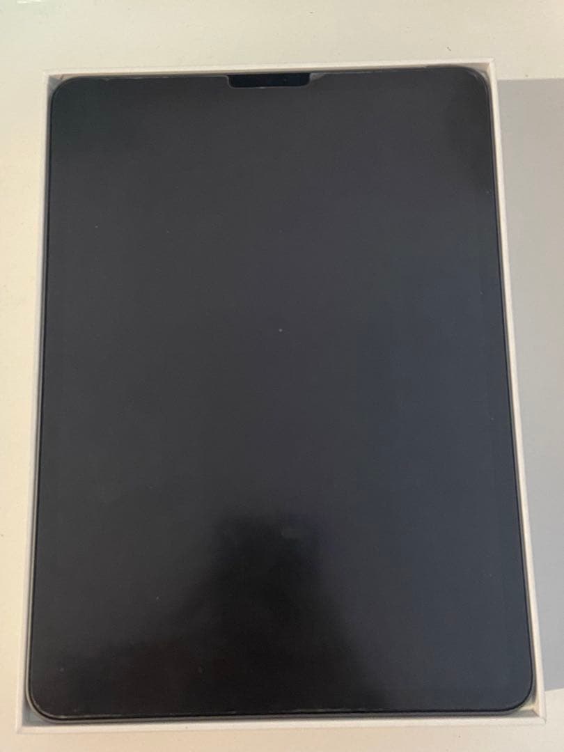 iPad Pro 第2世代 11インチ 256GB スペースグレイ ジャンク品