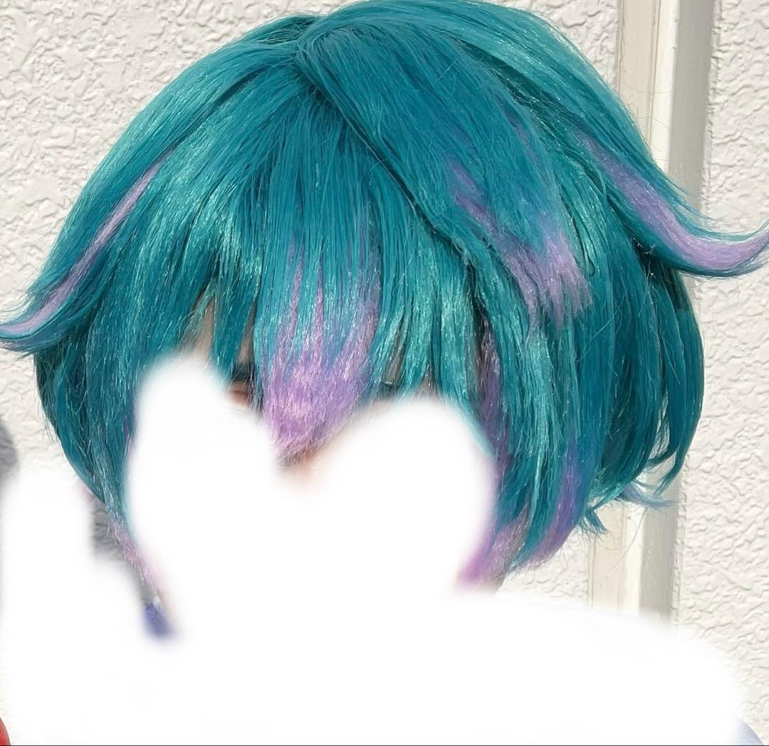 カリスマ コスプレ 湊大瀬 ウィッグ
