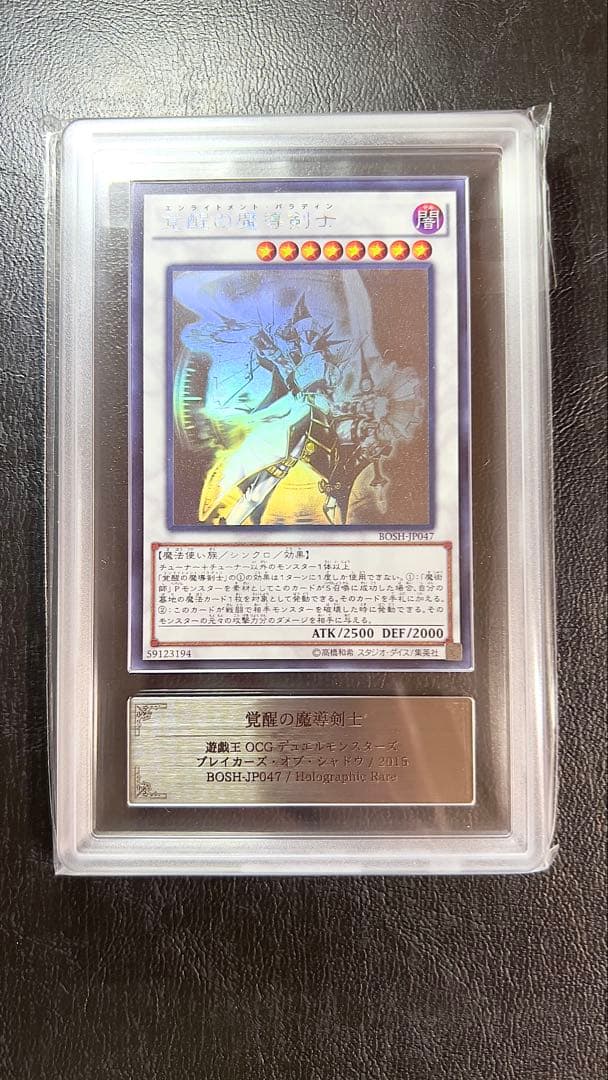 こ*中様 完美品級 ARS10 覚醒の魔導剣士 ホロ 世界に2枚 現状最高評価