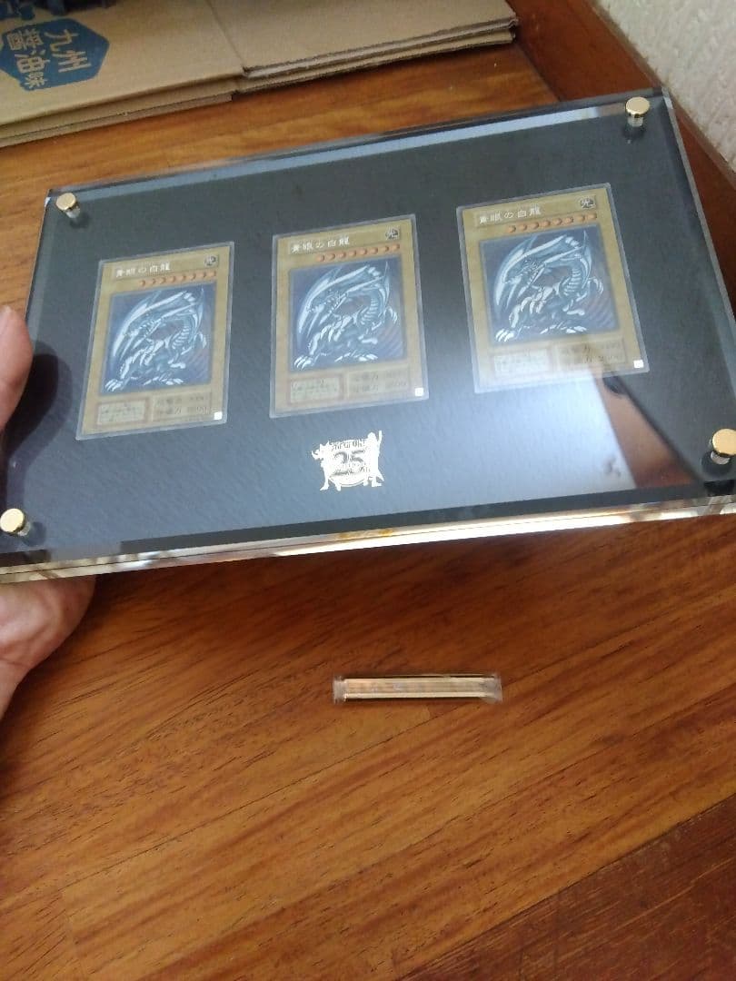 海馬セット　ブルーアイズ 青眼の白龍　シークレット　3枚　25th　シクブル