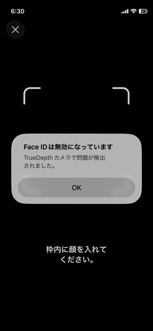 ひ*ら様 iPhone12mini 本体　※Face ID使用不可