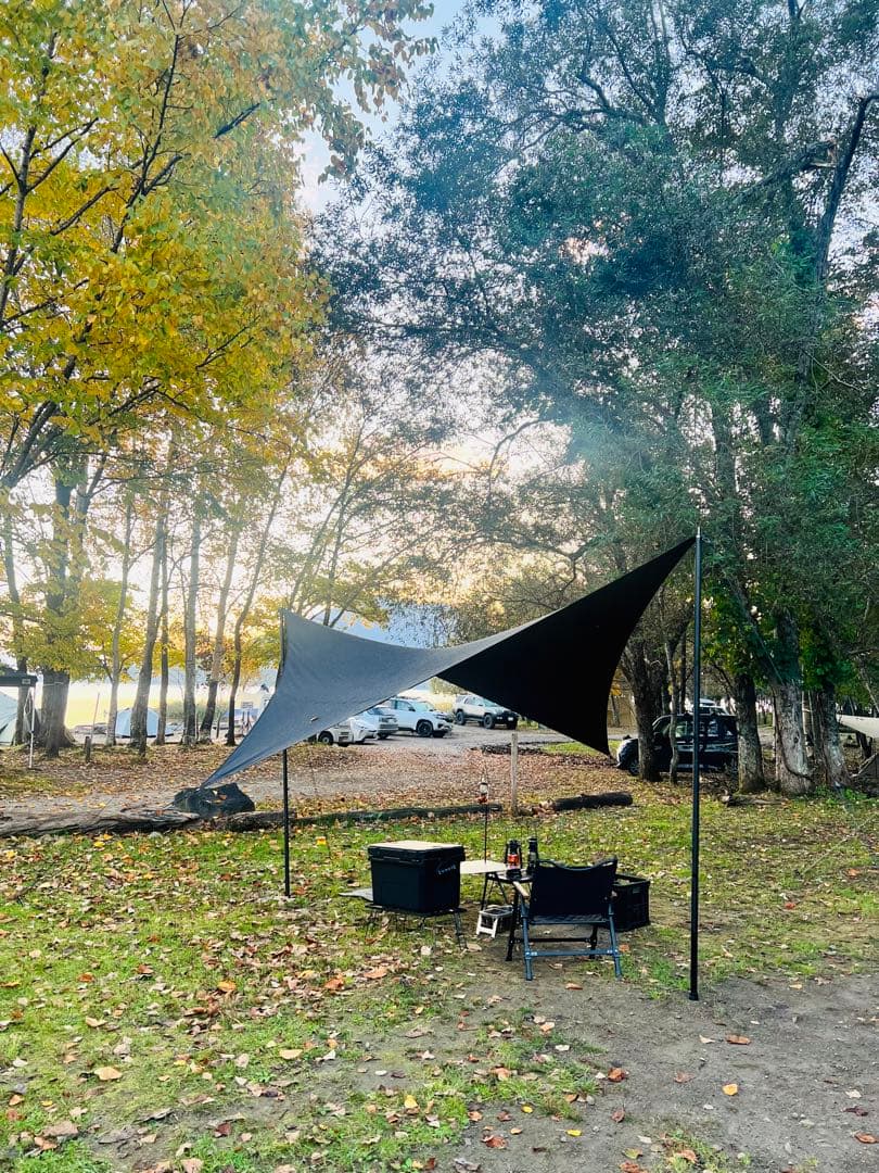 telo looksブラック　今週末まで