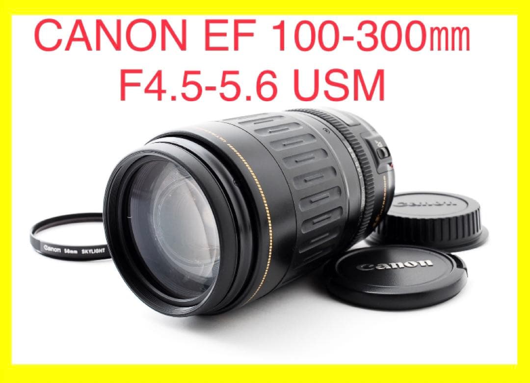 超望遠ズームレンズ　キャノン　Canon EF100-300㎜