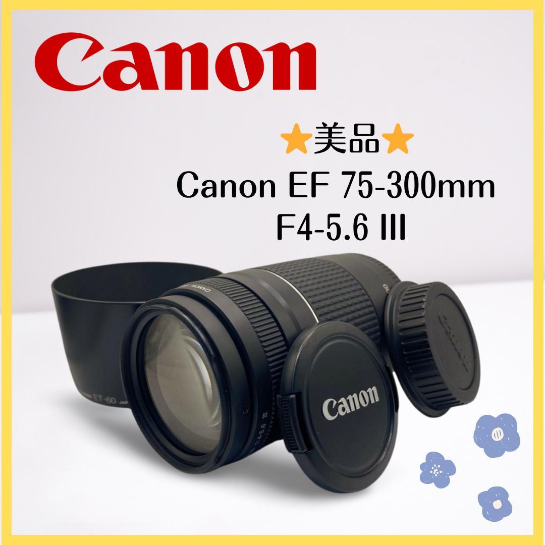 ⭐️美品⭐️Canon EF 75-300mm F4-5.6 III 望遠レンズ