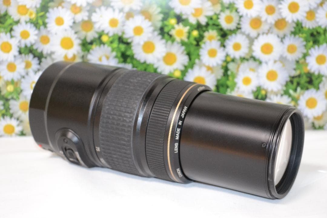 ❤️美品❤️Canon EF 75-300mm IS USM❤️超望遠❤️人気