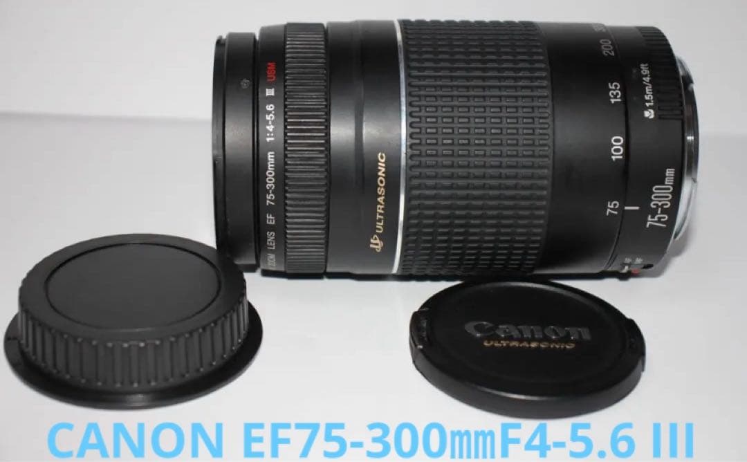 ☆フード付☆CANON EF 75-300mm F4-5.6 III USM☆