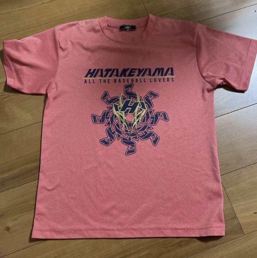 値下げ　ハタケヤマ 軟式キャッチャーミット 伊藤モデル TH-DB29N　セット