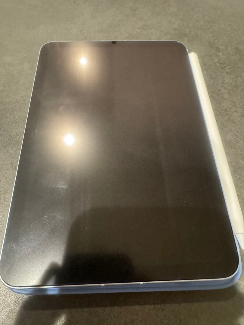 iPad mini セルラー 256 ブルー pencil pro AC＋加入