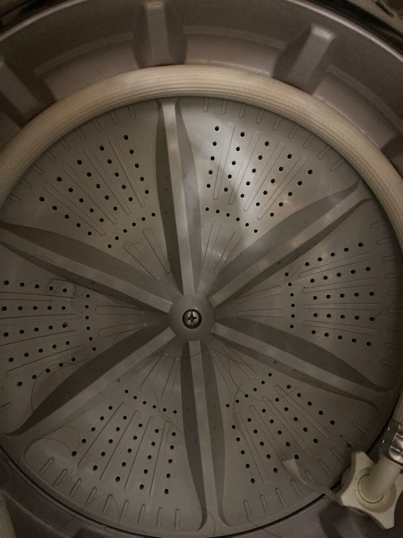 洗濯機 5kg アイリスオーヤマ 2023年式 中古 一人暮らし