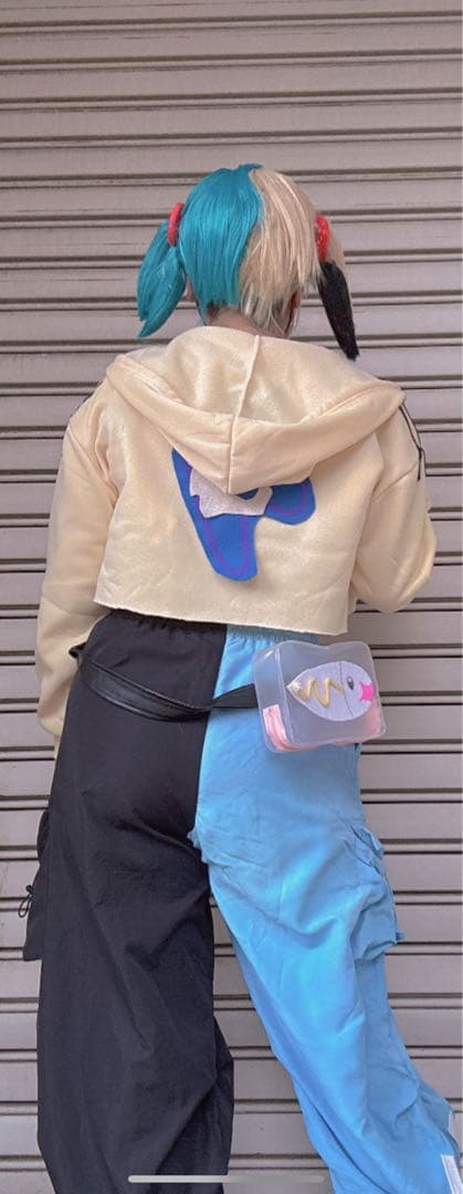 最終お値下げ‼️カナリィ　ポケモン　コスプレ　靴ウィッグ付き