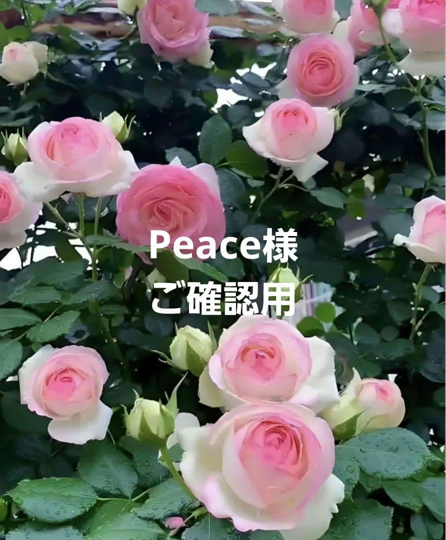 【K753】七五三 七歳　 時短！ 二部式作り帯 3ローズ♪金&銀　化繊