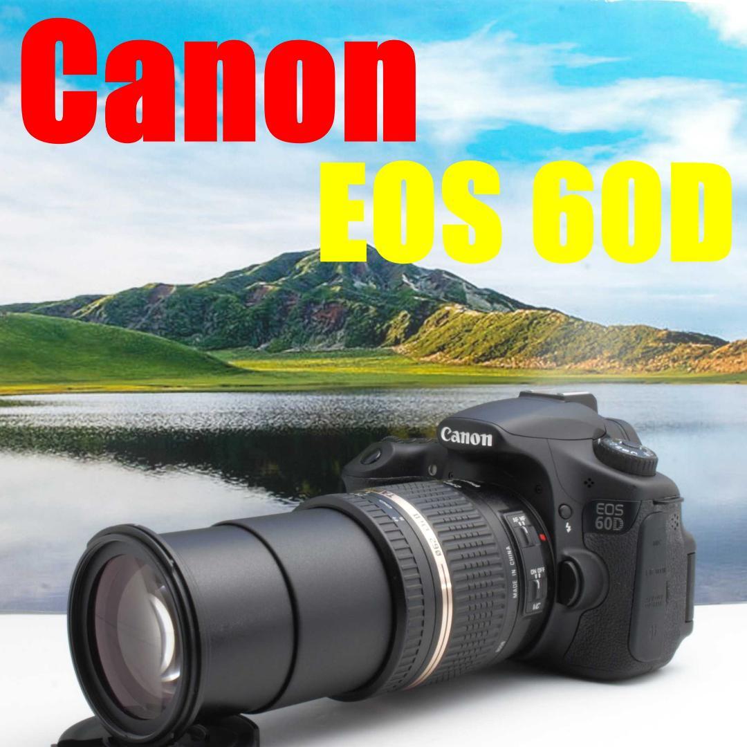 Canon EOS 60D　バリアングル液晶 高画質 新品級　未使用に近い