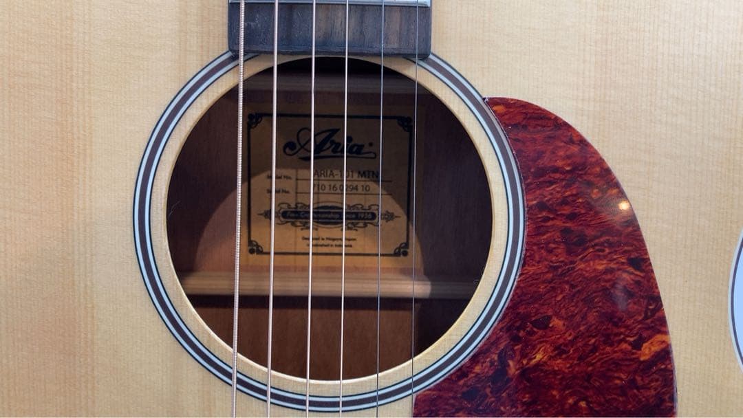 Aria アコースティックギター　ARIA-101MTN