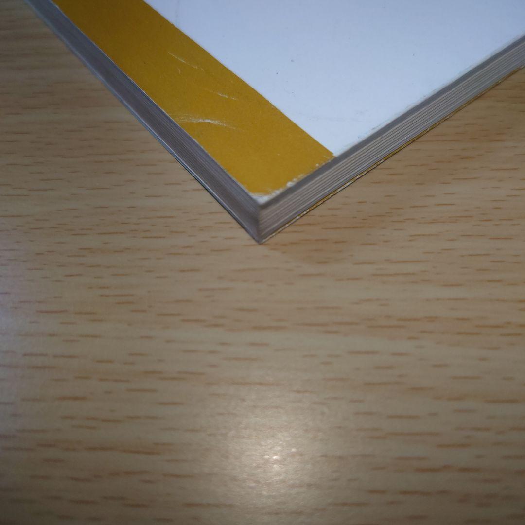 五井昌久先生 天と地をつなぐ者 毛筆揮毫 【道】