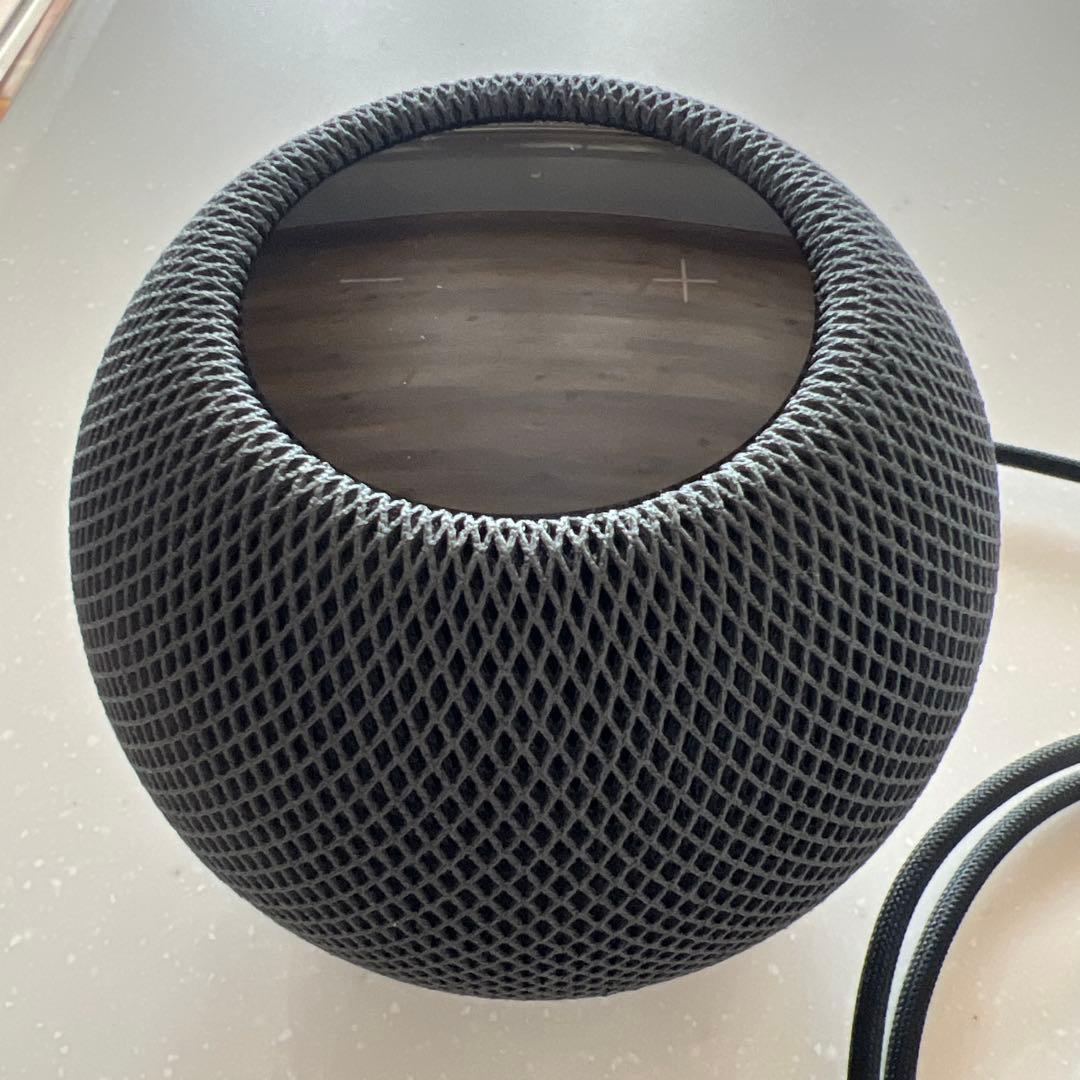 アップル Apple Pod mini スペースグレー