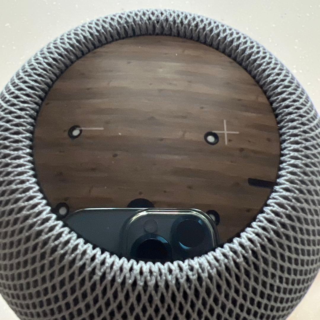 アップル Apple Pod mini スペースグレー