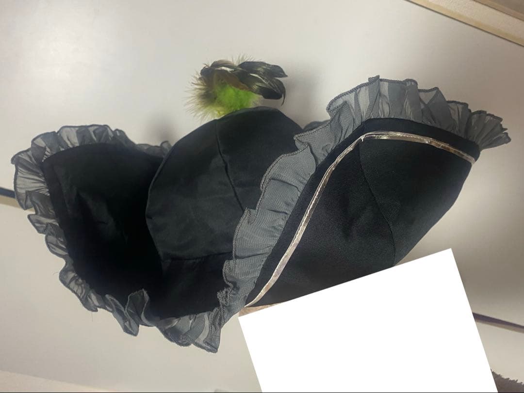 【値下げ】ツイステ シルバー グロマス コスプレ M