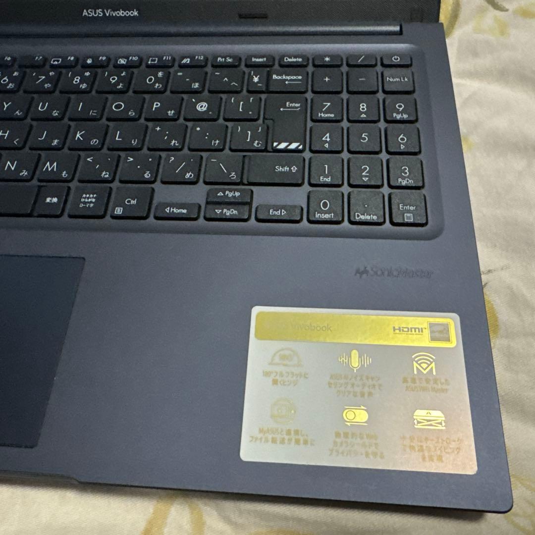 ASUS Vivobook 15/15.6型　M1502IA-BQ071WS