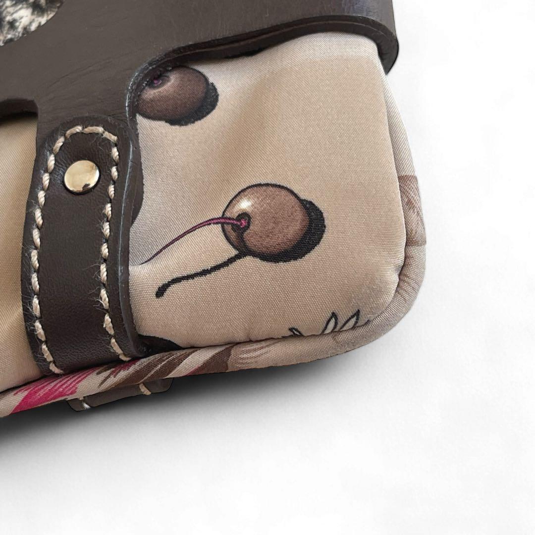 美品　サルヴァトーレフェラガモ　アニマル柄　クロスボディバッグ　レザー