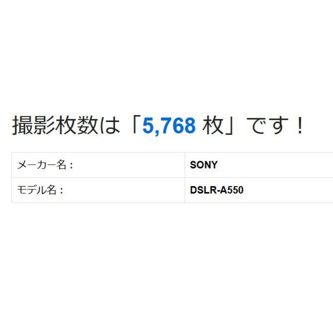 ❤即購入1000円OFF❤ SONY α550 手ブレ補正搭載 レンズキット
