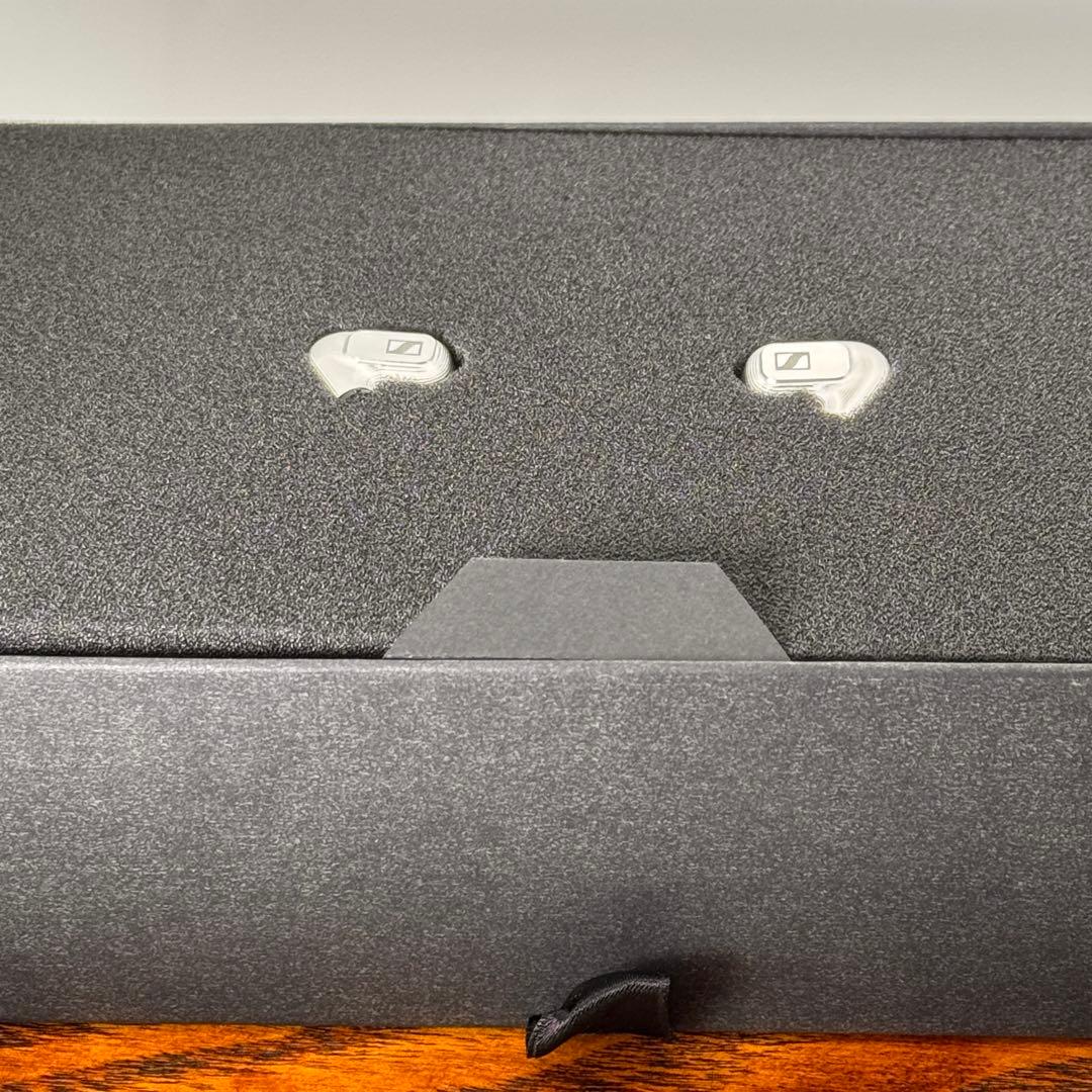 Sennheiser IE900 ゼンハイザー【付属品完備*正規品】