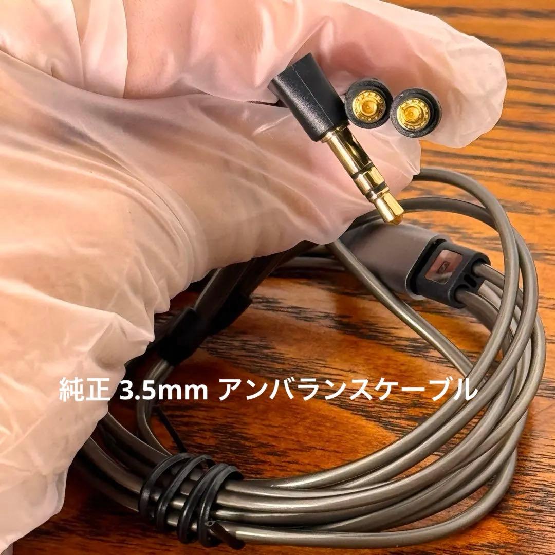 Sennheiser IE900 ゼンハイザー【付属品完備*正規品】