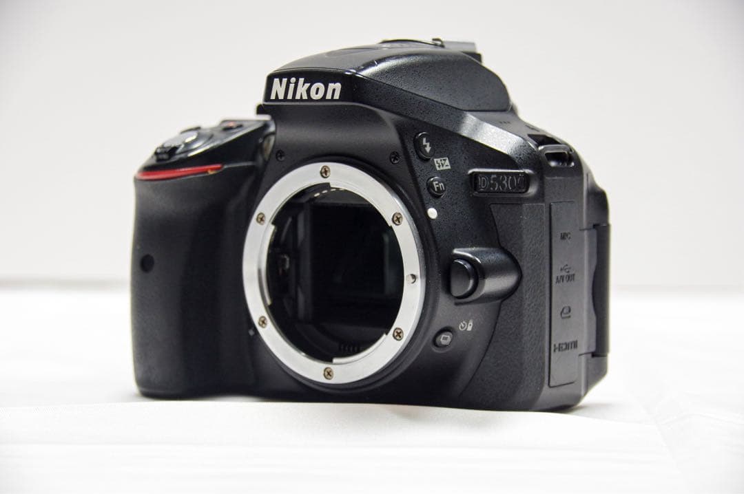 Nikon D5300 18-55mm 一眼レフ スマホ転送 Wi-Fi搭載