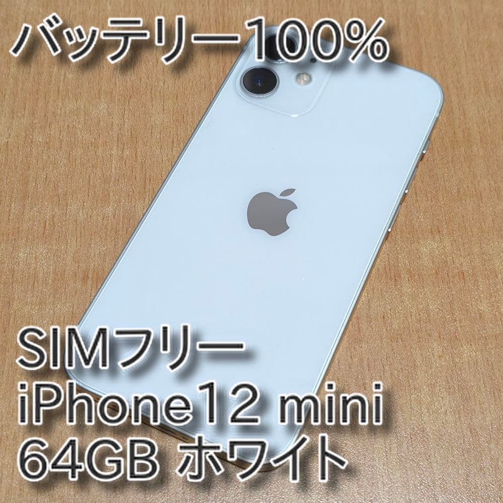 バッテリー100% SIMフリー iPhone12 mini 64GB