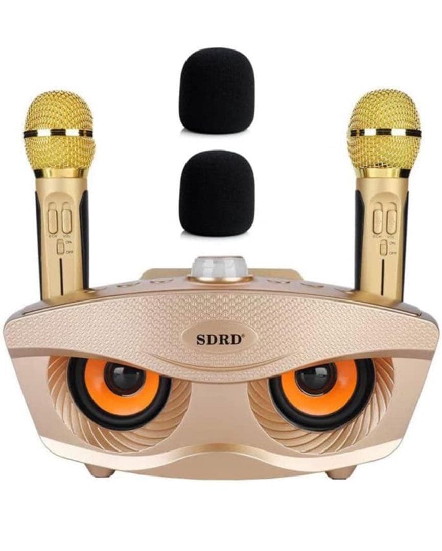 カラオケマイク 家庭用カラオケシステム ワイヤレスマイク マイク2本 無線接続