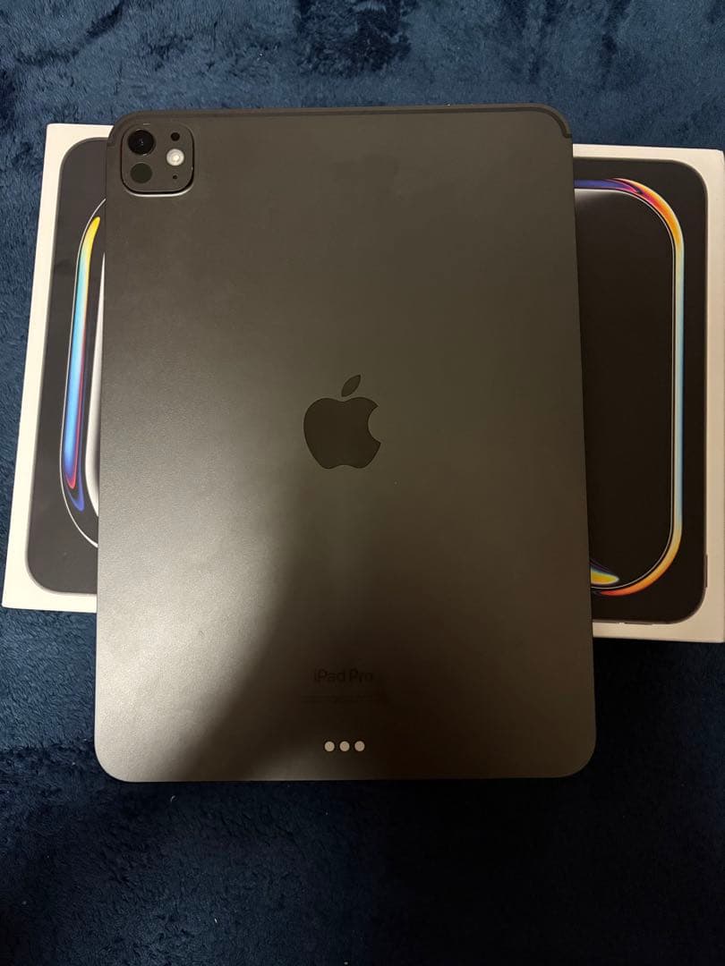 iPad Pro 11 M4 256GB スペースグレー